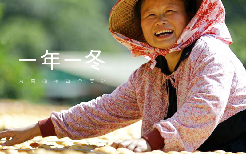 一年一冬|为你摘得每个美好