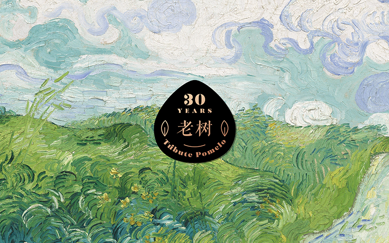 听甜 | 给一颗柚子做的包装